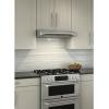 imageBroan Elite 30Inch Convertible UnderCabinet Range Hood Stainless Steel 375 Max Blower CFM